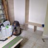 IMG_20191127_144532[1]